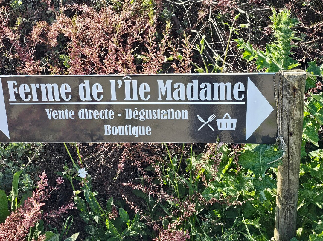Ile Madame-Port-des-Barques必去景点