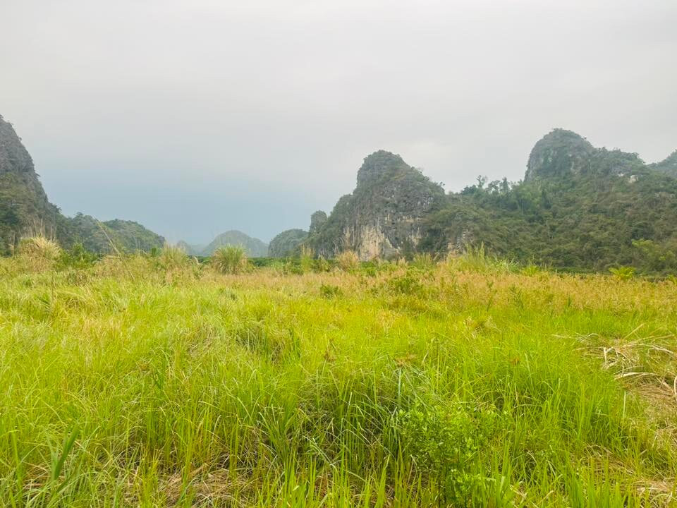 Cai Beo Fishing Village-Ha Long City必去景点