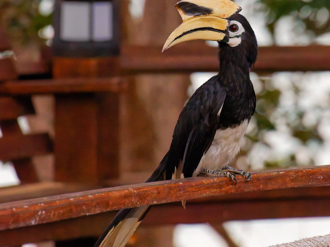 法亚马斯私人海滩度假村 - 仅限成人入住主图
