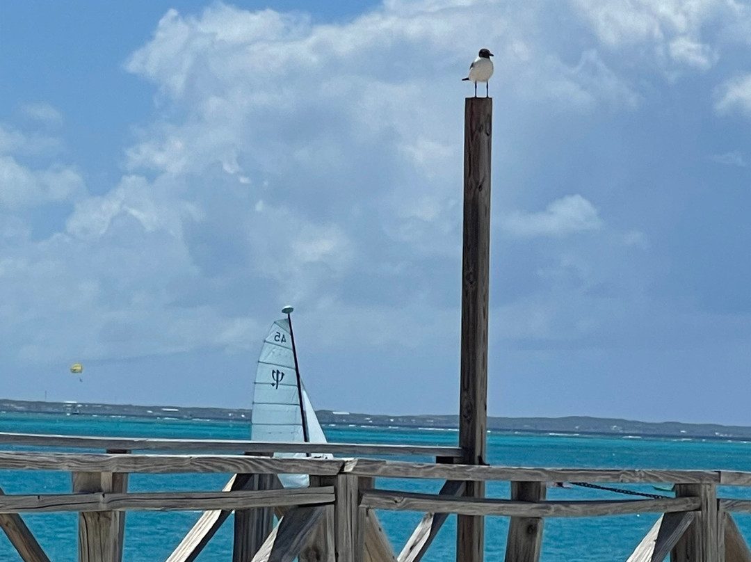 特克斯和凯科斯群岛地中海度假村主图