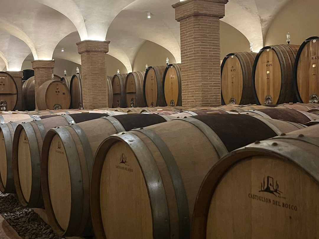 Castiglion del Bosco-蒙塔尔奇诺必去景点