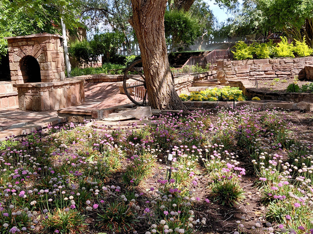 Cameron Floral Gardens-卡梅隆必去景点