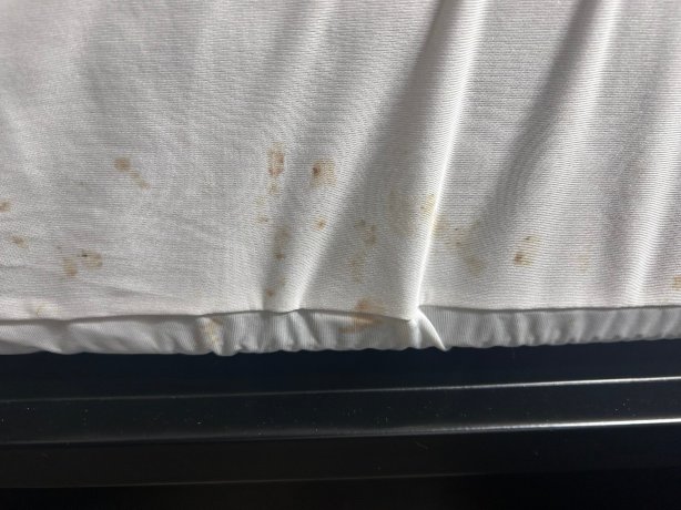 格林维尔大学附近凯艺酒店-旅行者