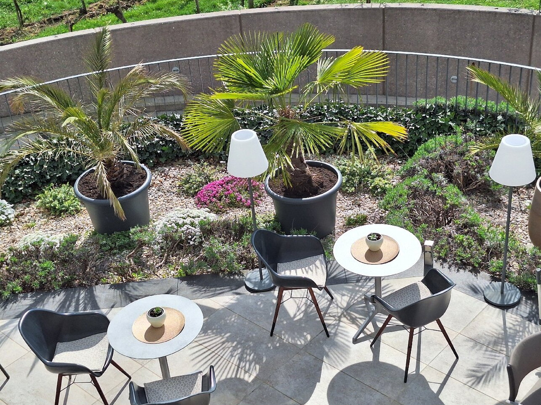 Boutiquehotel WEINSPITZ Wachau - ADULTS ONLY主图