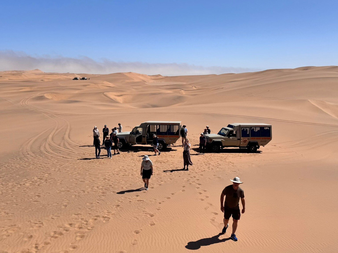 Living Desert Adventures Discover the Little 5-斯瓦科普蒙德必去景点