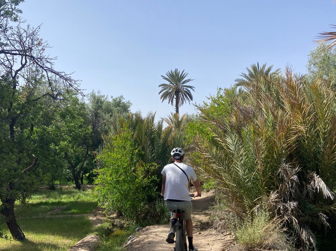 Morocco Desert Full Trips-马拉喀什必去景点