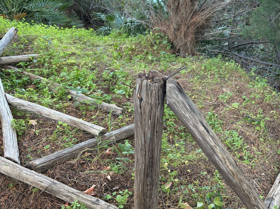 Giardino Botanico "Santicelli"-Soverato必去景点