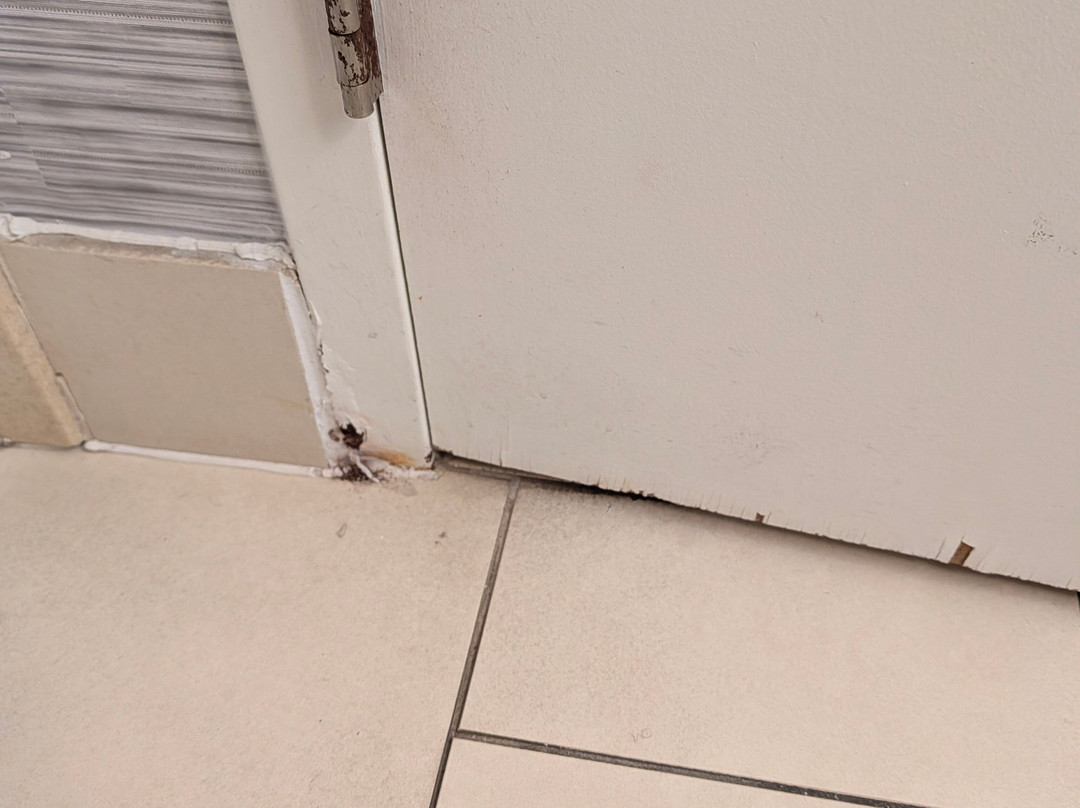 希尔顿安泊酒店-不伦瑞克主图