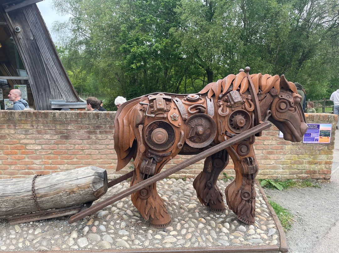 Shorne Woods Country Park-Shorne必去景点