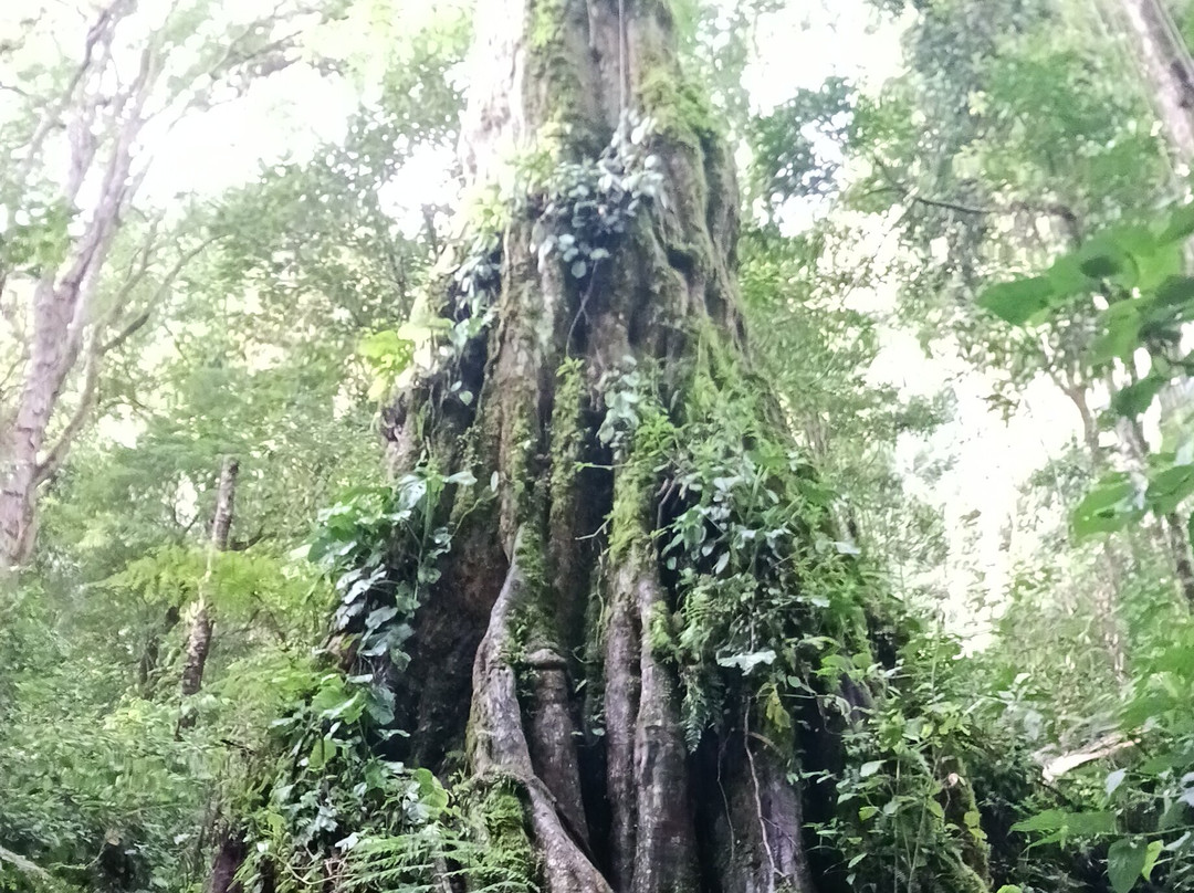 Pipeline Trail-波魁特必去景点