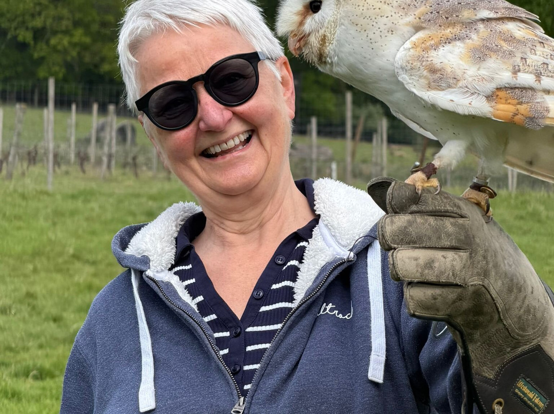 UK Owl And Raptor Centre-Groombridge必去景点