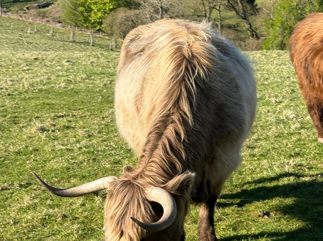 Nether Glenny Farm - Coos and Views-斯特灵必去景点