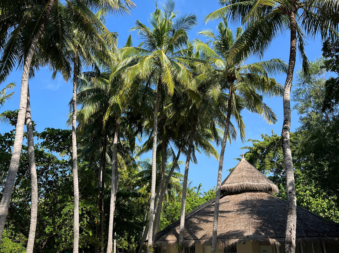 马尔代夫Ellaidhoo Cinnamon酒店主图