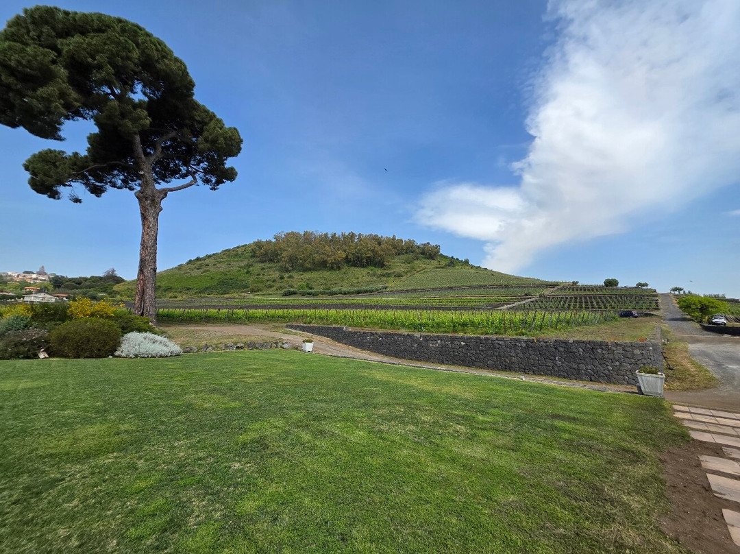 Benanti Winery-Viagrande必去景点