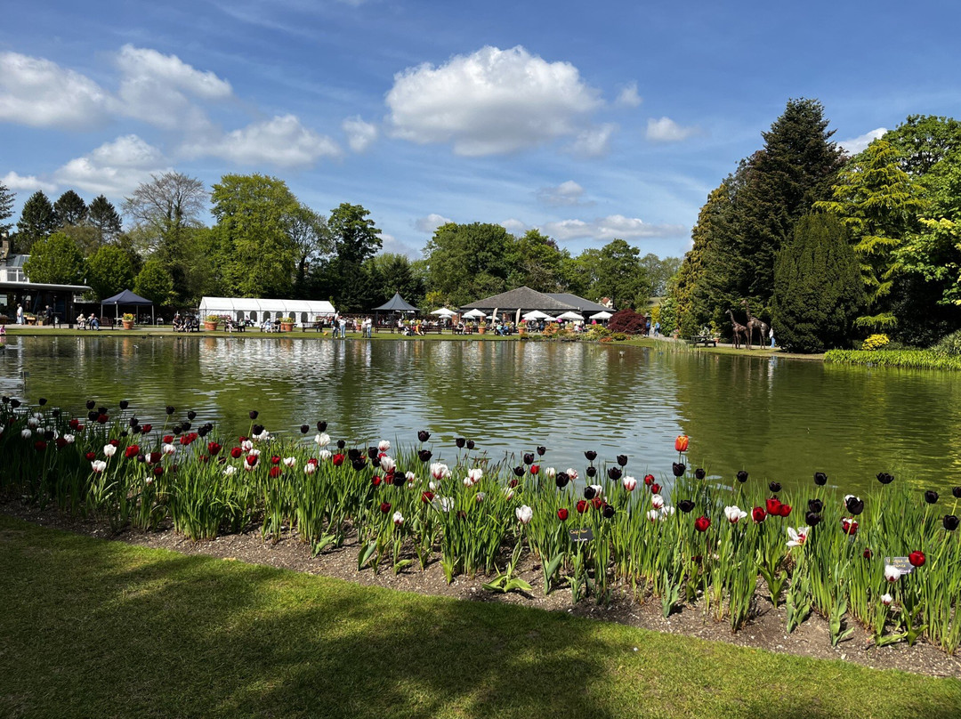 Burnby Hall Gardens and Museum-Pocklington必去景点