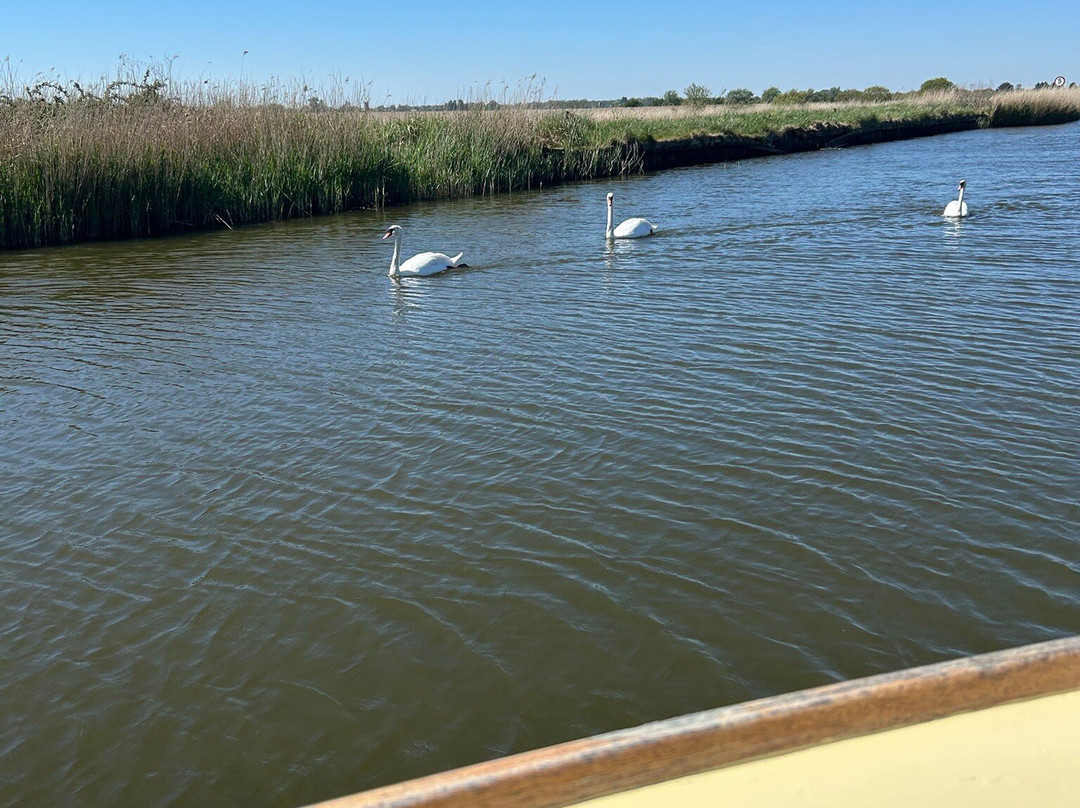 Ross' Wildlife Boat Trips-Mustard Hyrn必去景点