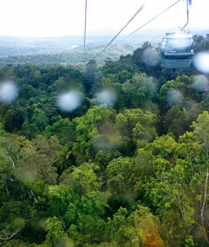 Skyrail Rainforest Cableway-Smithfield必去景点