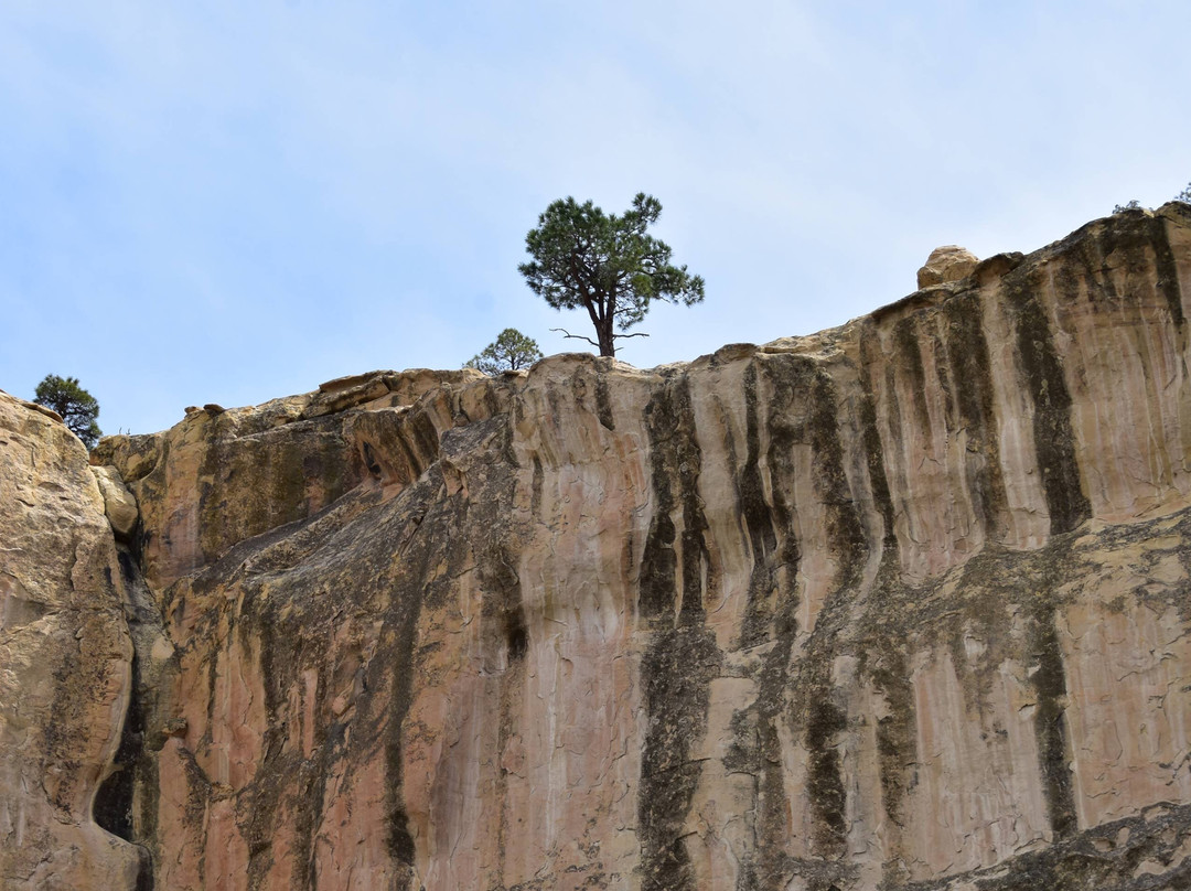El Morro National Monument-Ramah必去景点