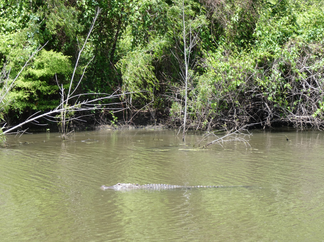 St. Catherine Creek National Wildlife Refuge-Sibley必去景点
