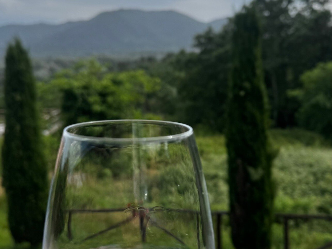 Fattoria Al Dotto-卢卡必去景点