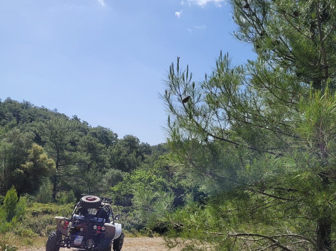 Rhodes Buggy Safari....more than an adventure-科林比亚必去景点