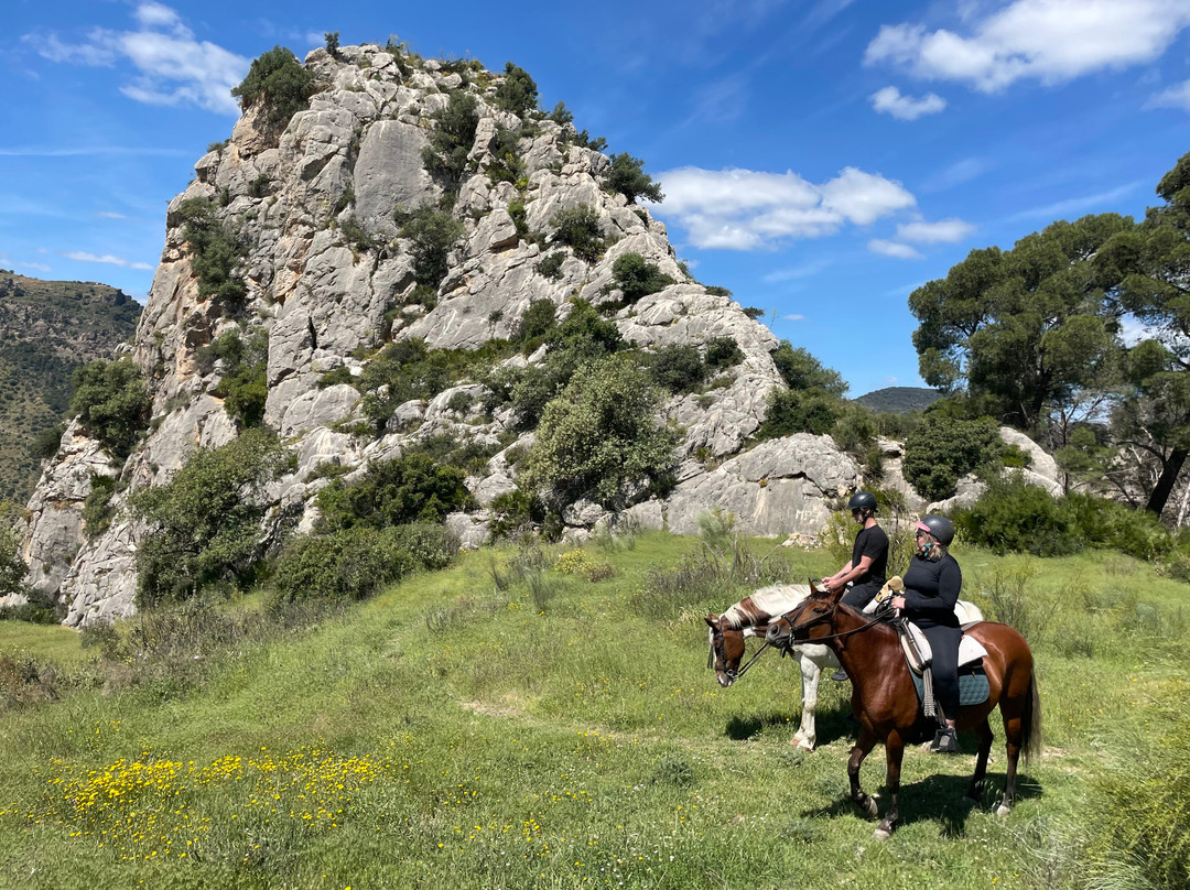 Horse Riding El Chorro-El Chorro必去景点