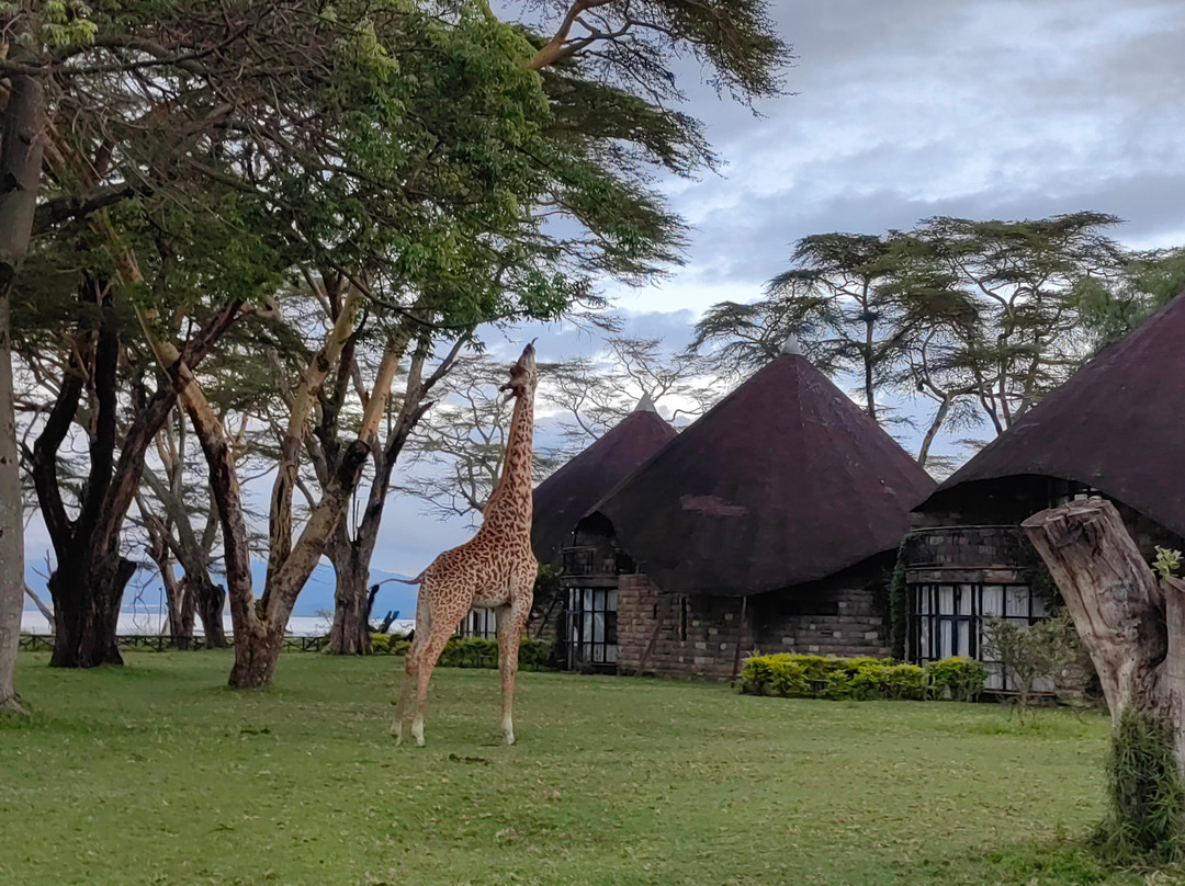 Explorer Kenya-内罗毕必去景点