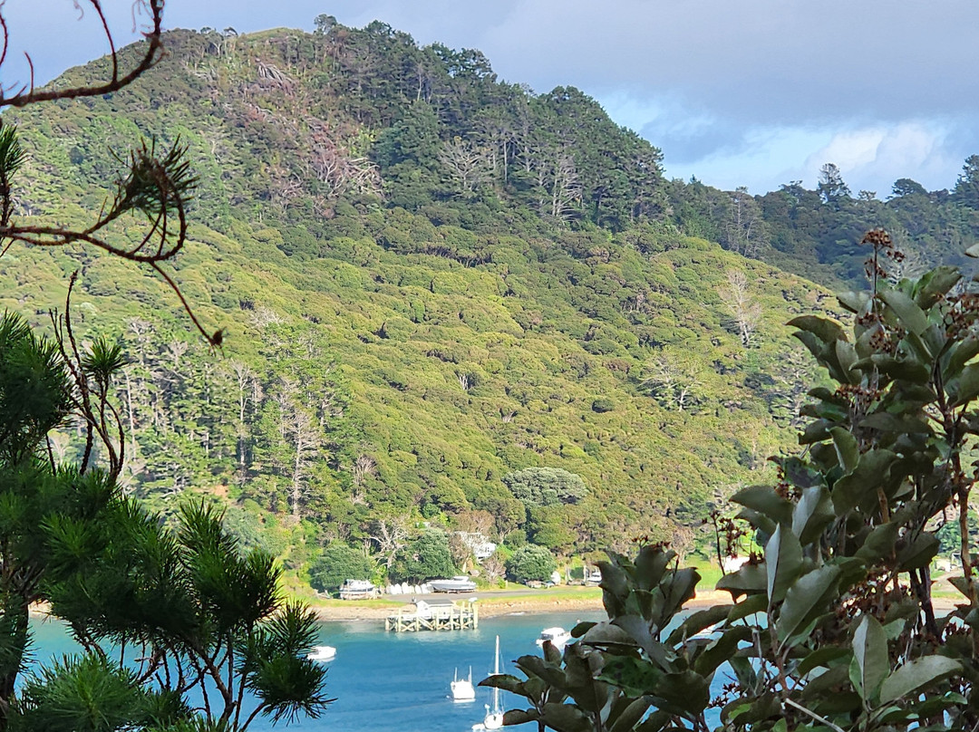 Mt Hobson via Windy Canyon-Great Barrier Island必去景点