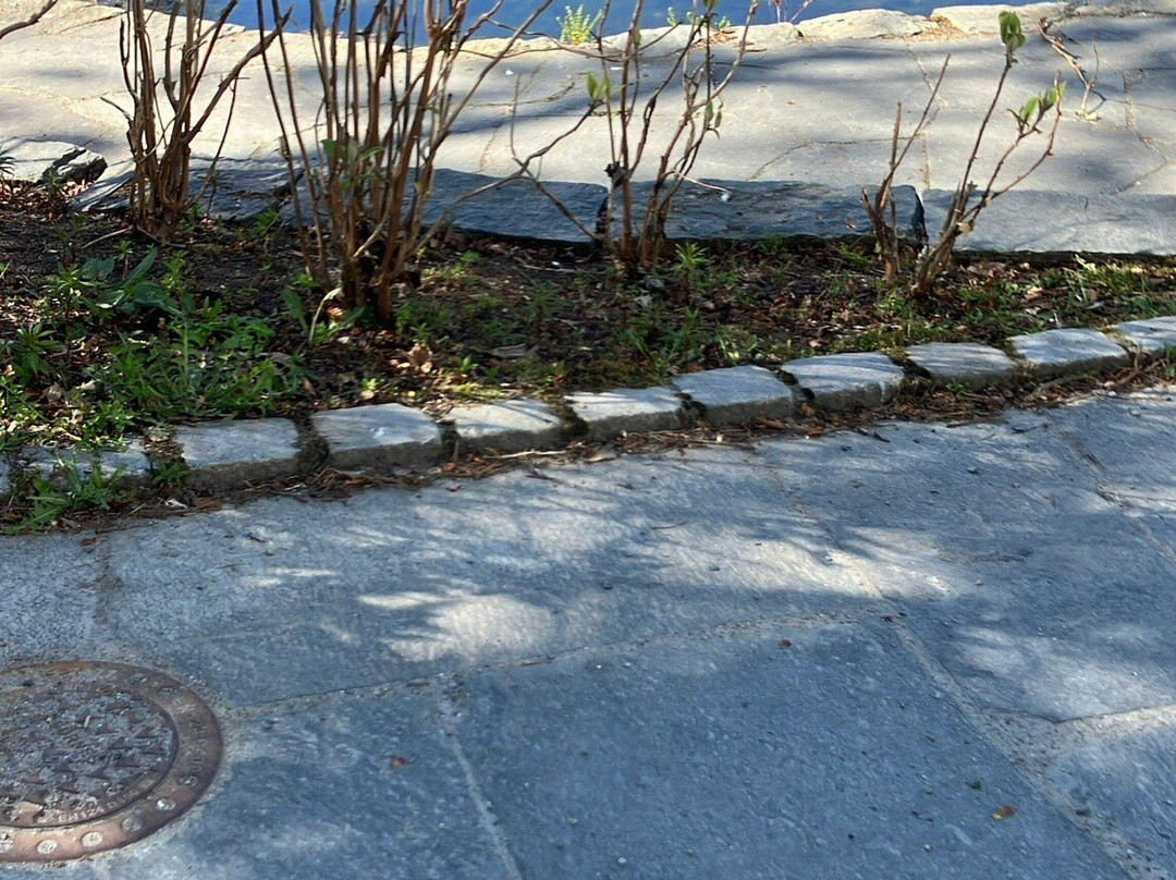 Nygardsparken-卑尔根必去景点
