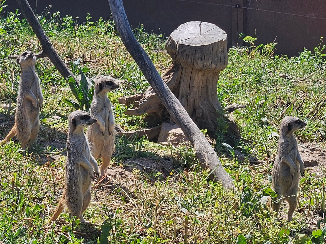 Corsica Zoo-Olmeta di Tuda必去景点