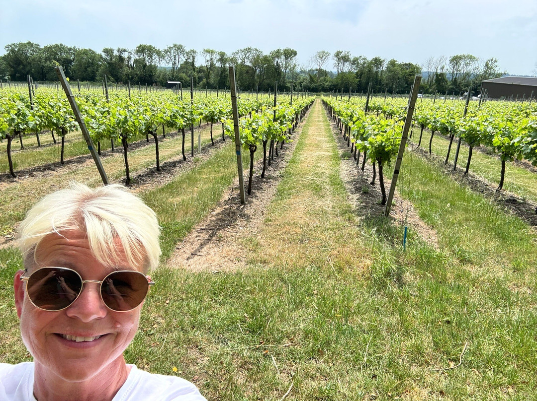 Westwell Wine Estate-Charing必去景点