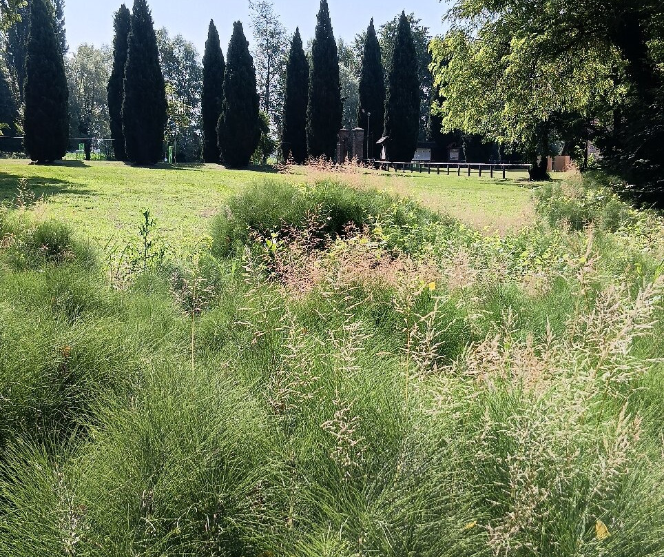 Parco Palude di Onara-Onara必去景点