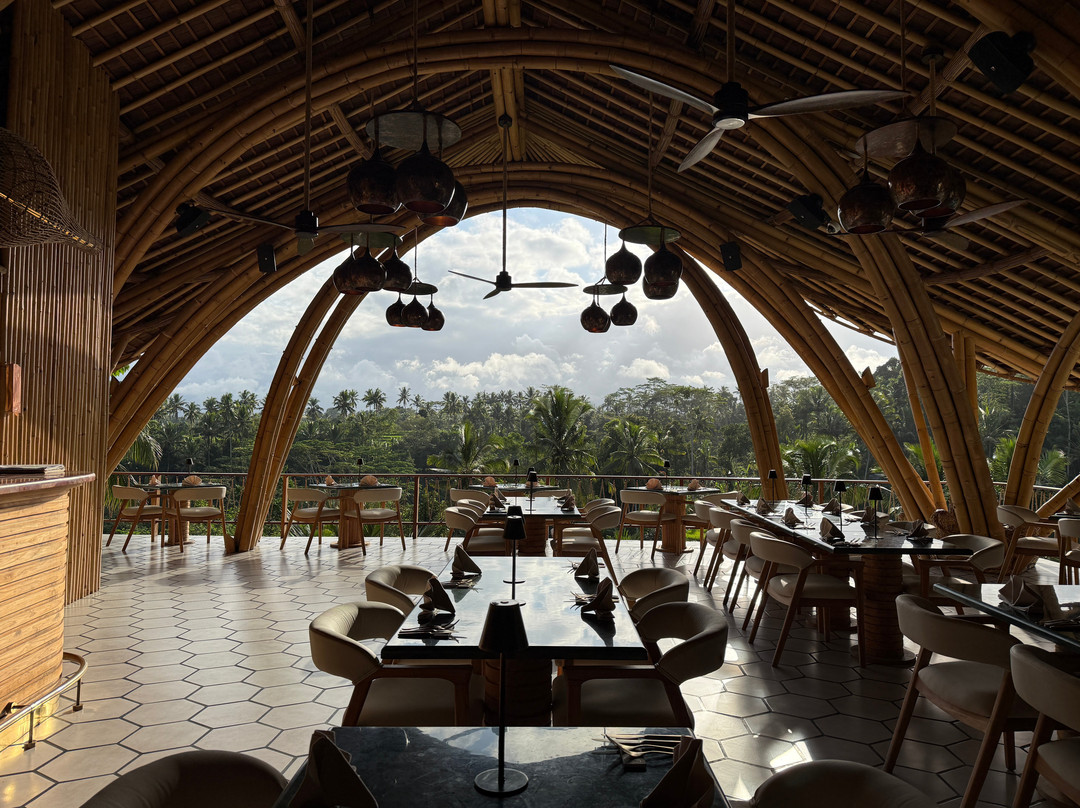 The Nini Restaurant