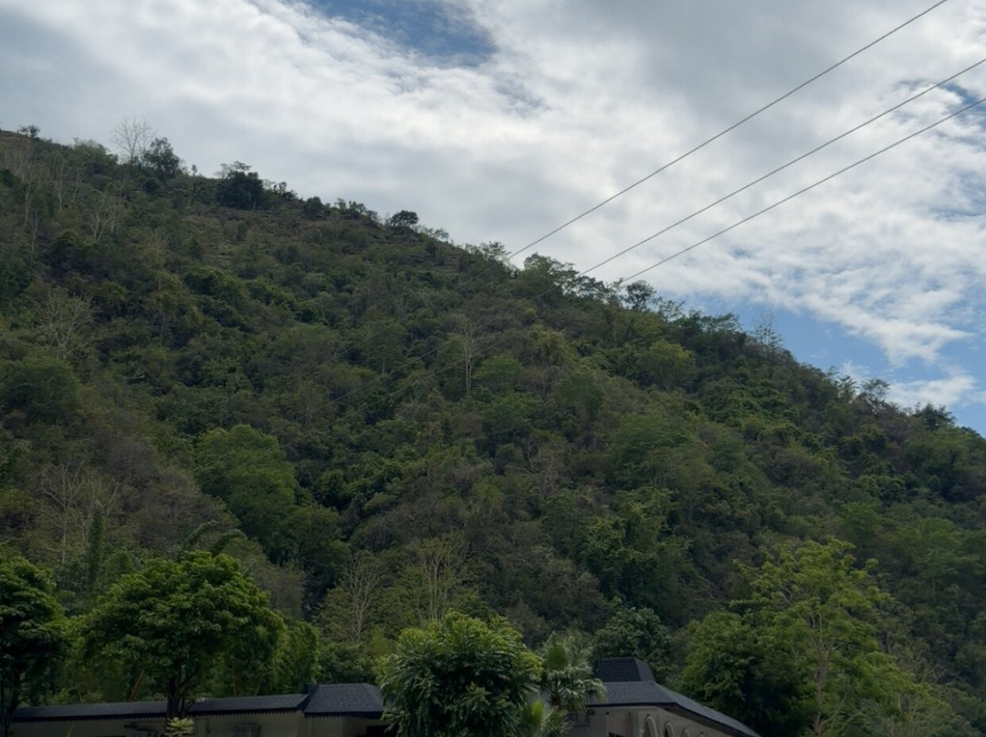 Aranyam River Retreat主图