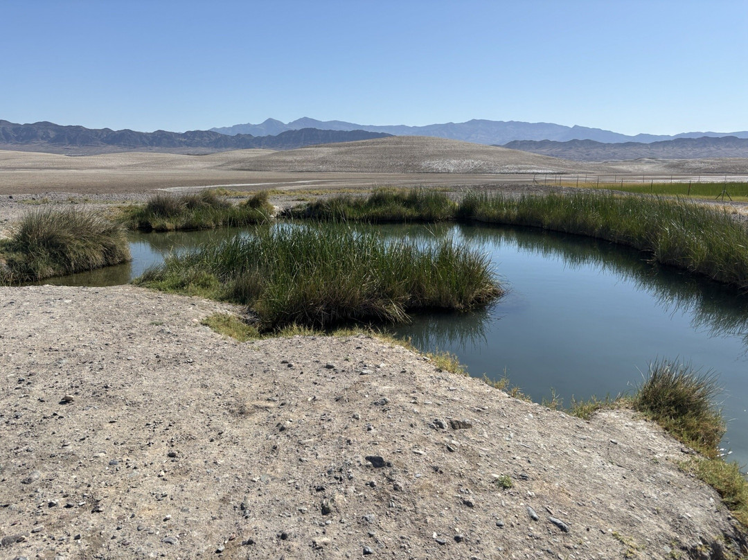 Tecopa Hot Springs-Tecopa必去景点