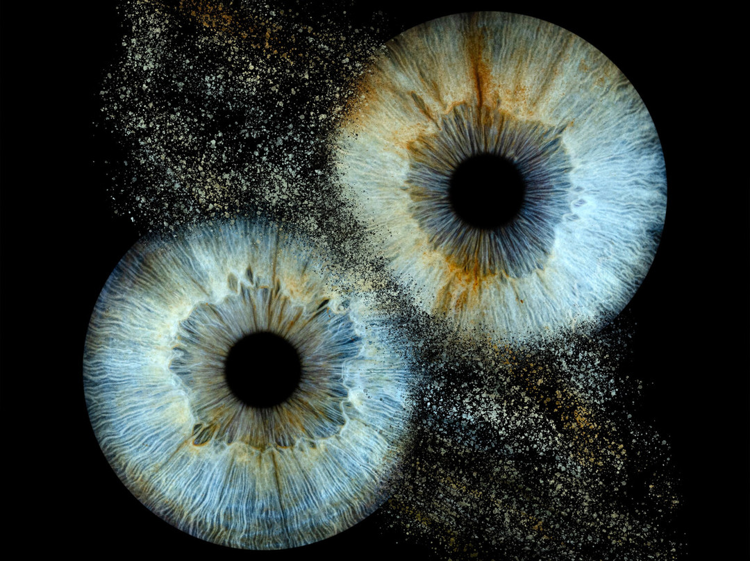 Iris Galerie Gent-根特必去景点