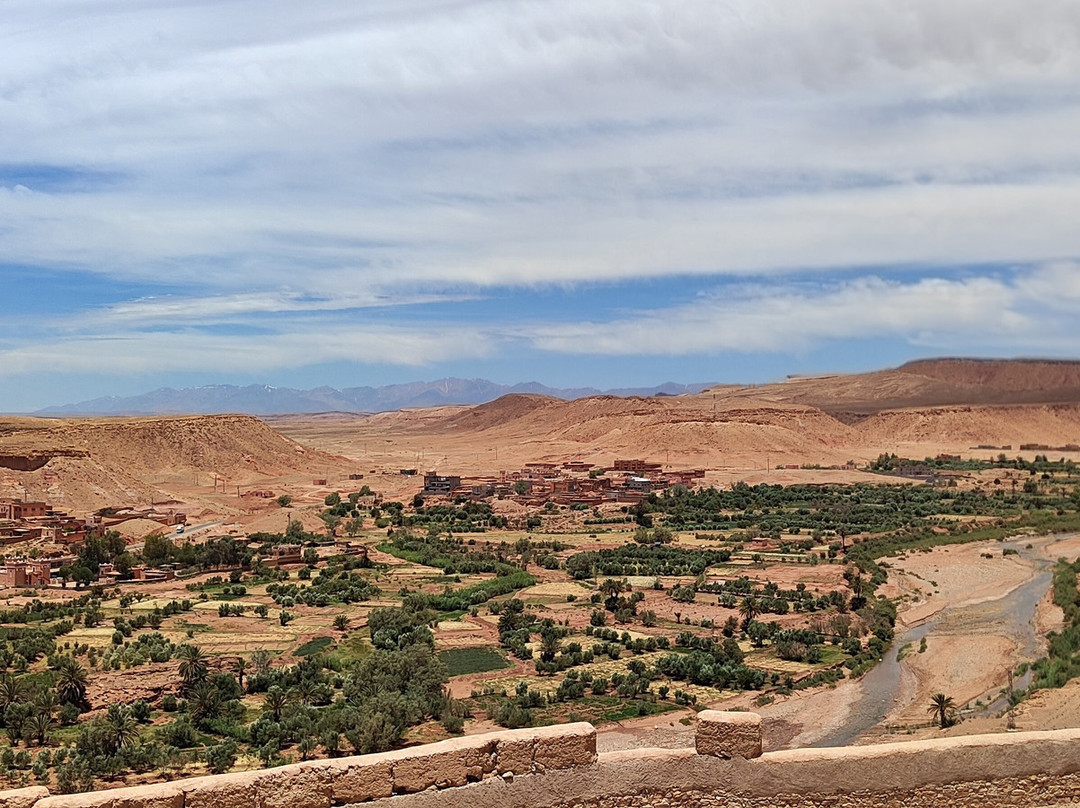 Camel Ride Trips-非斯必去景点