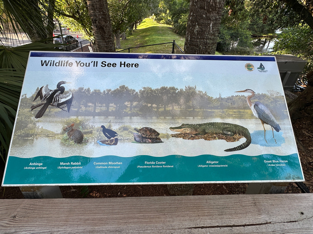 Wakodahatchee Wetlands-德拉海滩必去景点