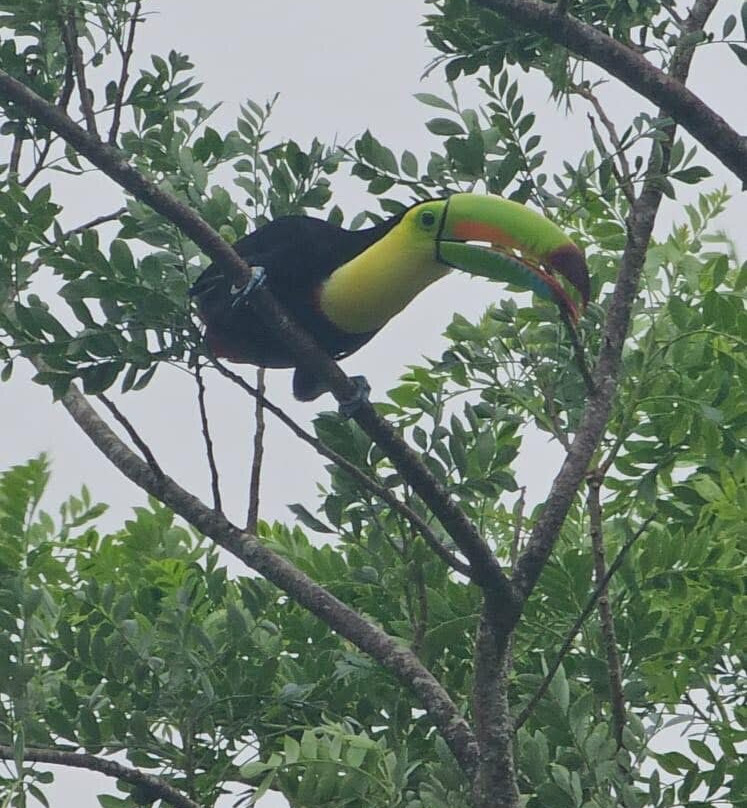 Costa Rica Expedition Tours-Culebra必去景点