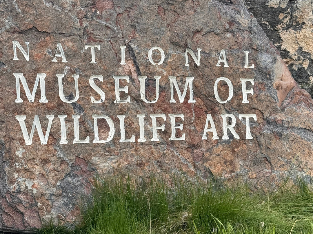 National Museum of Wildlife Art-杰克逊必去景点