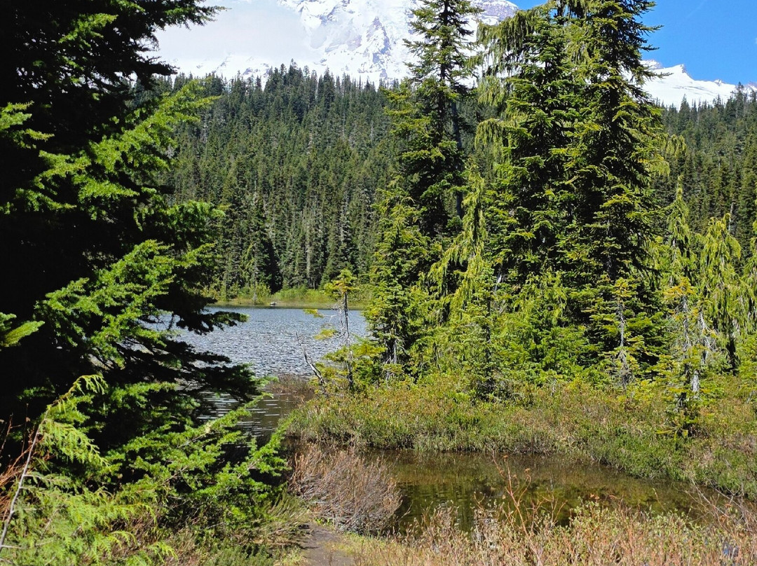Mount Rainier National Park-阿什福德必去景点