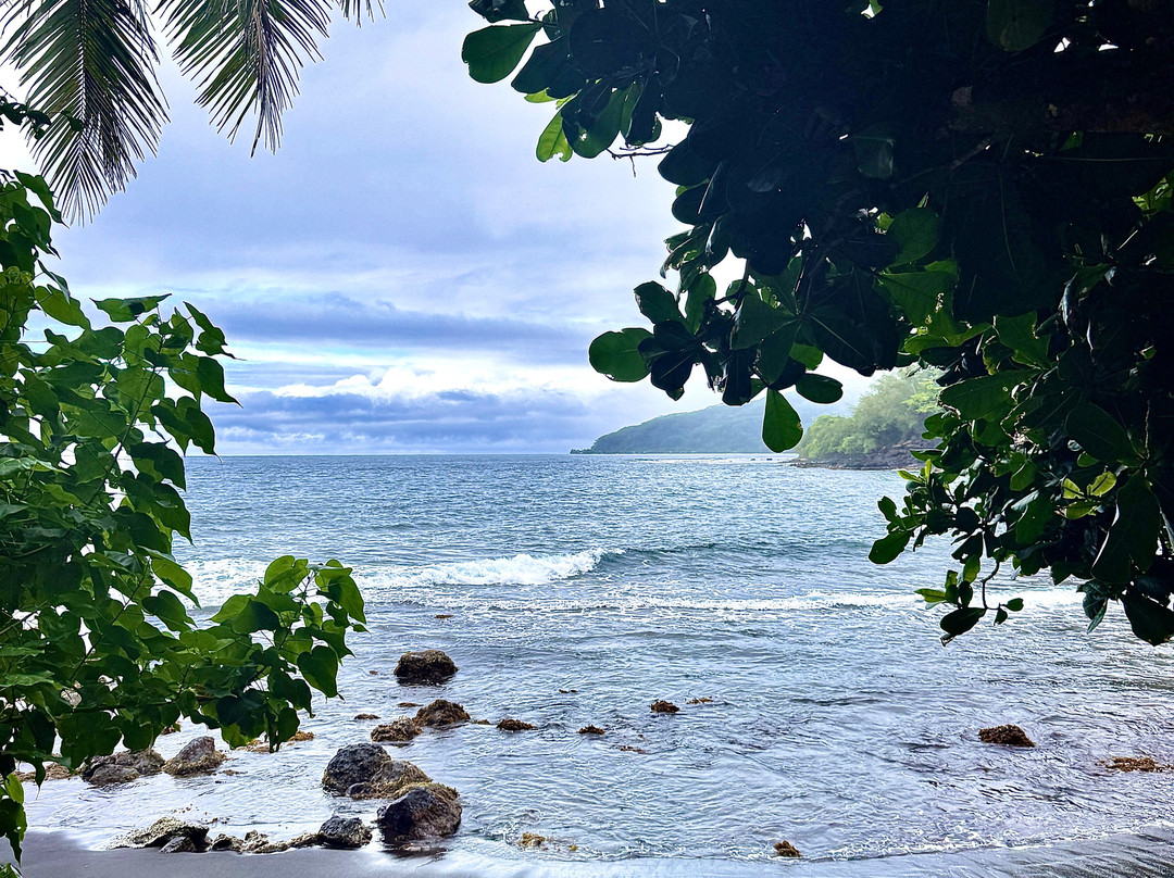 Tahiti Welcome Tours-阿鲁埃必去景点