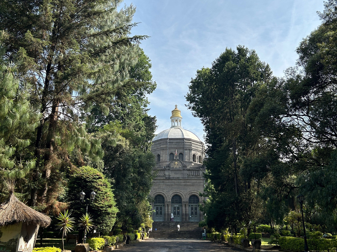 Vintage Ethiopia Tour And Travel-Jimma必去景点