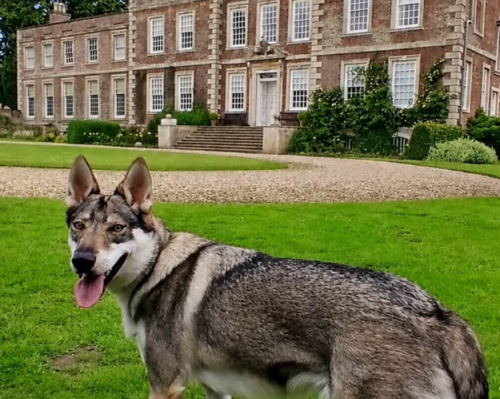 Gunby Hall and Gardens-Spilsby必去景点