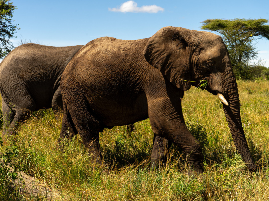 Sereland Africa Safaris-Sakina必去景点