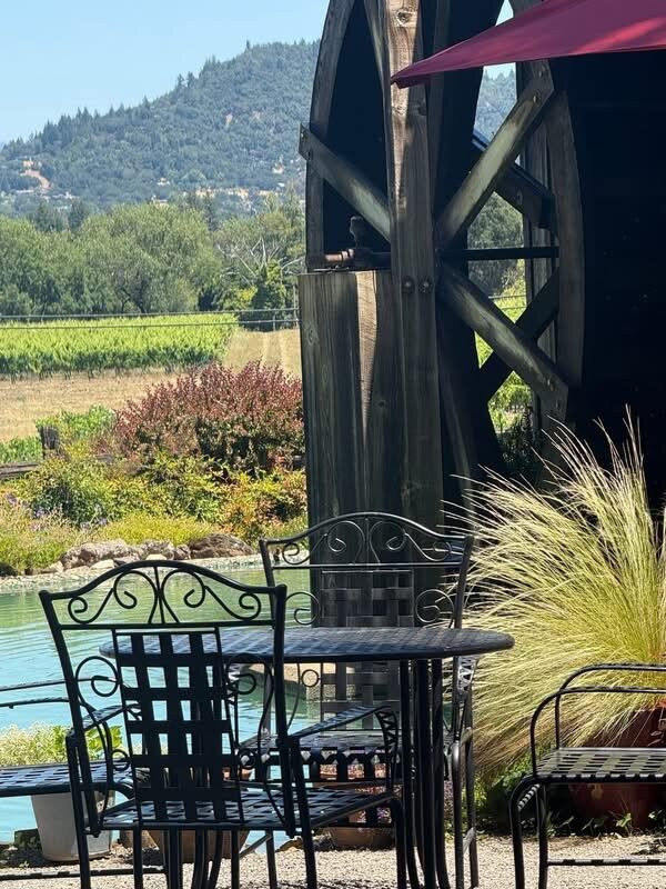 Mill Creek Vineyards and Winery-希尔兹堡必去景点