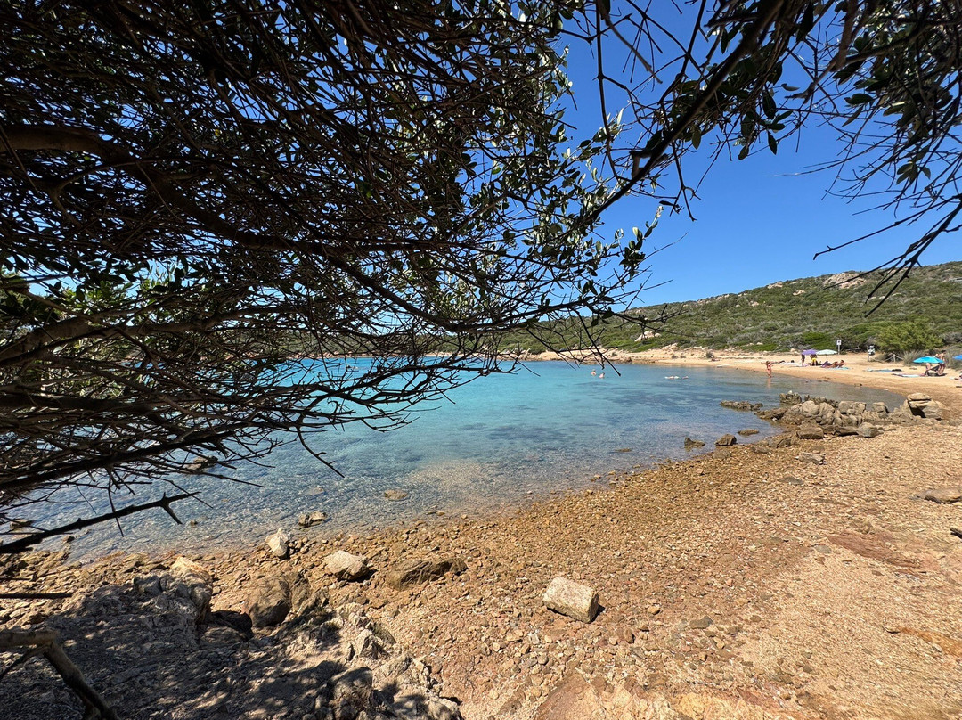Spiaggia Porto Palma-Caprera必去景点