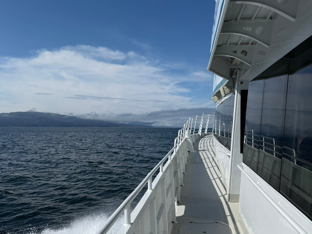 Seldovia Bay Ferry-荷马必去景点