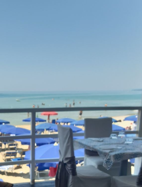 La Pineta Hotel Beach & Spa-旅行者