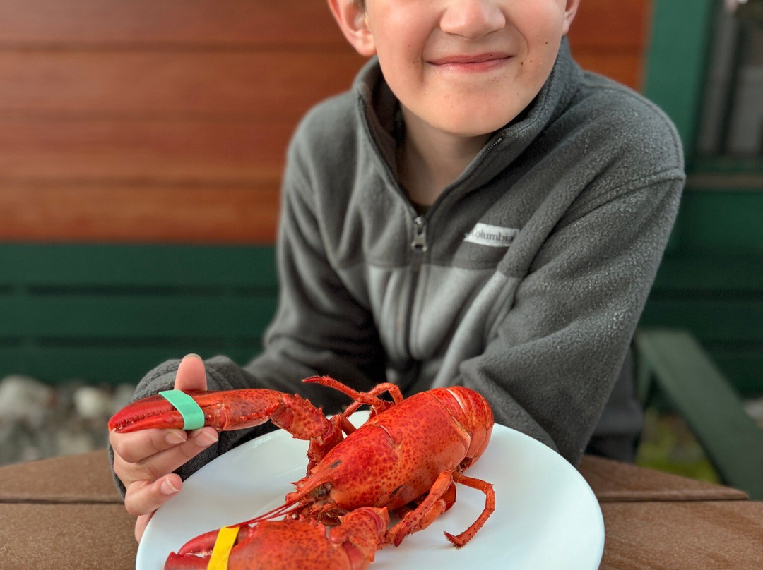 Bar Harbor Fishing Tours-山漠岛必去景点
